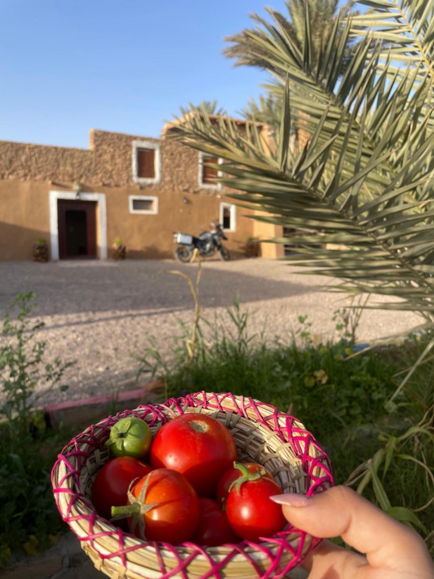 Maison D'Hote Dar Imrane طاطا المظهر الخارجي الصورة